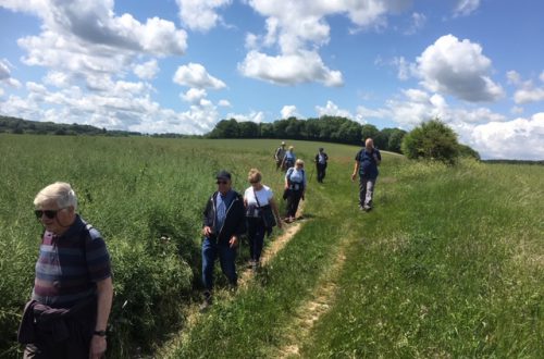 Members of Farnham U3A rambling group.